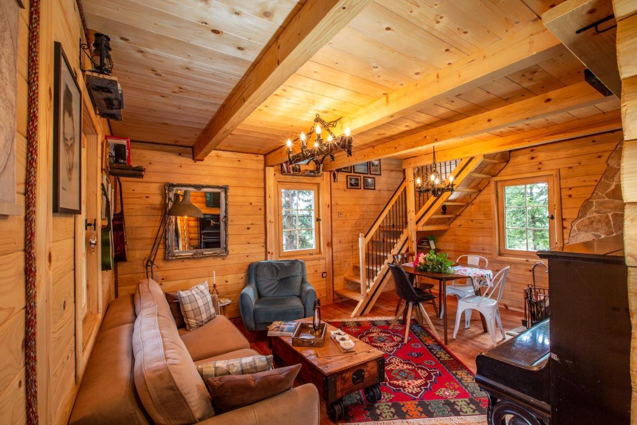 Villa Piccolo Orso Zabljak  Bagian luar foto